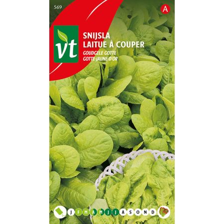Golden Leaf Lettuce (A Cut/Leaf Lettuce Cultivar) - Sla Snijsla Goudgele Gotte