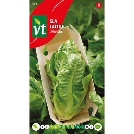Little Gem Lettuce - Sla Little Gem