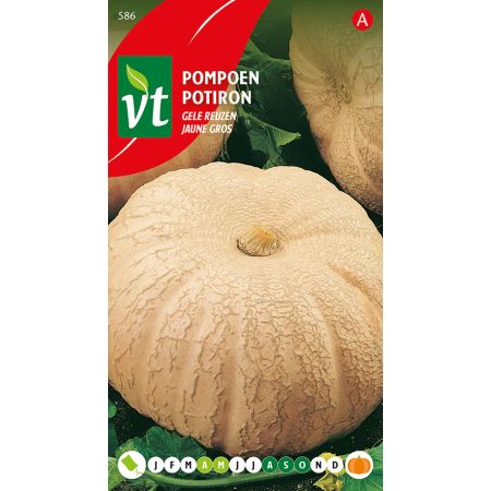 Yellow Giant Pumpkin - Pompoen Gele Reuzen