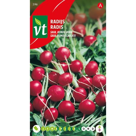 Saxa Round Red Radish - Radijs Saxa Ronde Rode