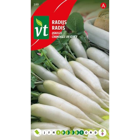 Icicle Radish - Radijs Ijskegel