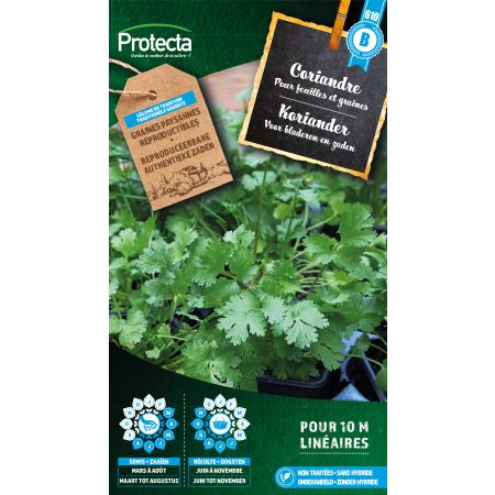 Coriander - Protecta seeds farm-grown