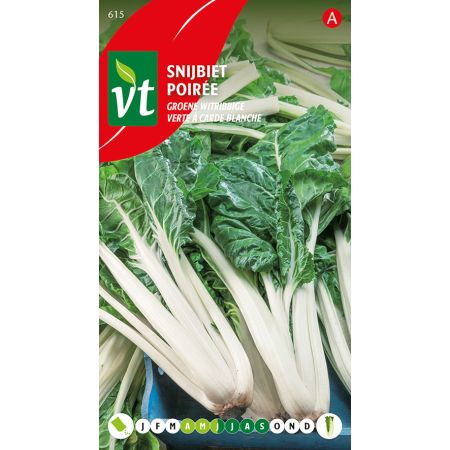 Swiss Chard - Snijbiet Groene witribbige