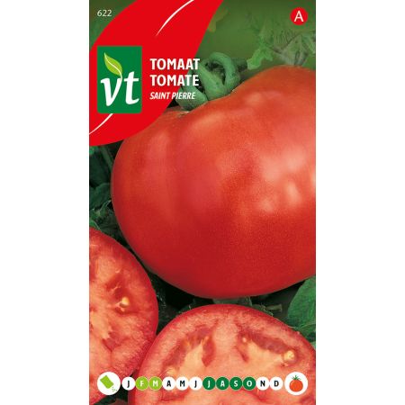 Saint Pierre Tomato - Tomaat Saint Pierre