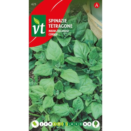 New Zealand Spinach - Spinazie Nieuw-Zeelandse
