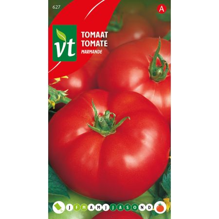 Marmande Tomato - Tomaat Marmande