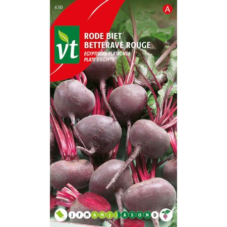 Beetroot (Red Beet) - Cultivar 'Egyptian Flat Round' - Rode Biet Egyptische platronde