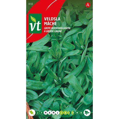 Corn Salad (Mâche / Lamb'S Lettuce) - Veldsla Grote Noordhollandse