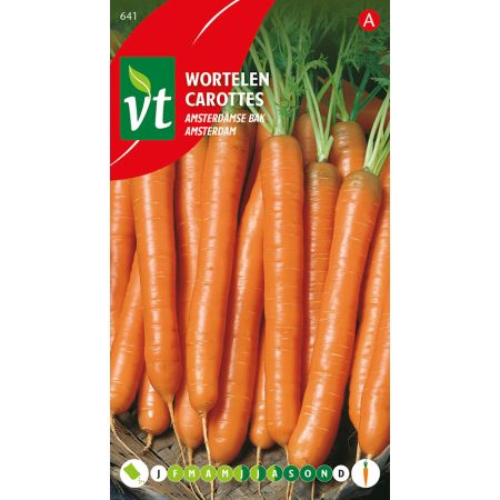 Amsterdam Carrot - Wortelen Amsterdamse