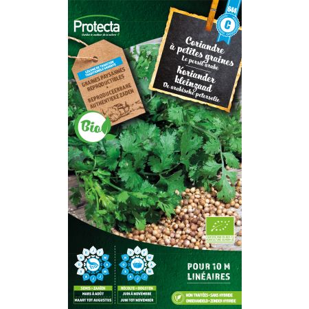 Small-grain coriander BIO - Protecta seeds farm-grown