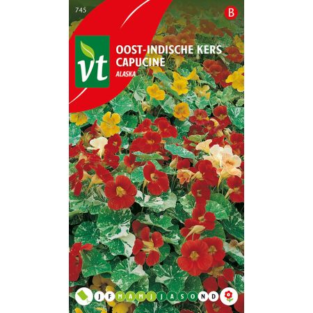 Garden Nasturtium (Cultivar 'Alaska') - Oost-Indische Kers Alaska