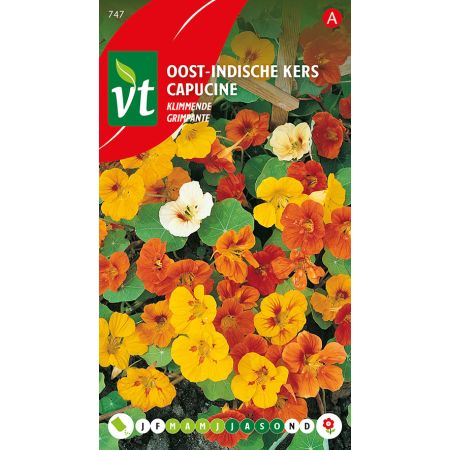 Climbing Nasturtium - Oost-Indische Kers Klimmende