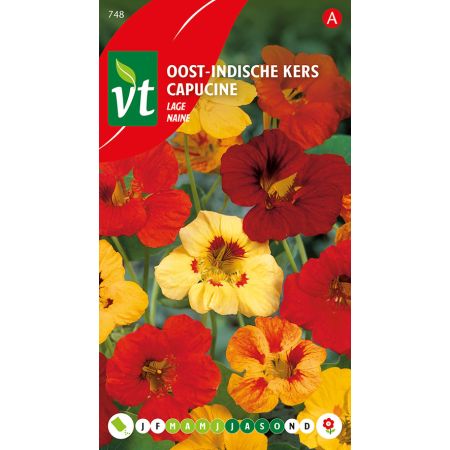 Dwarf Nasturtium - Oost-Indische Kers Lage