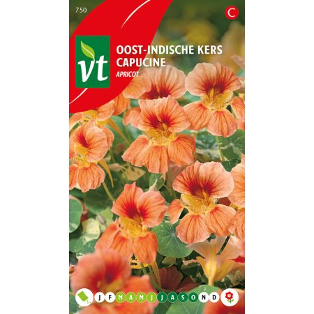 Apricot Nasturtium - Oost-Indische Kers Apricot