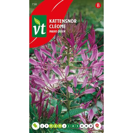 Cat'S Whiskers - Kattensnor Mauve Queen