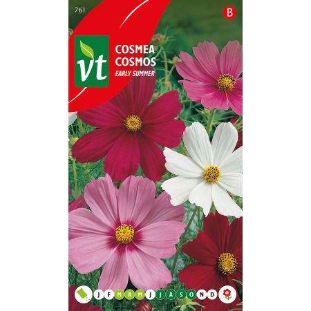 Garden Cosmos (Cosmos) - Cosmea Early Summer Gemengd
