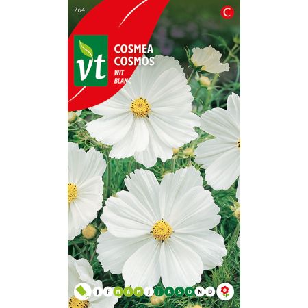 Garden Cosmos (Cosmos) - Cosmea Wit