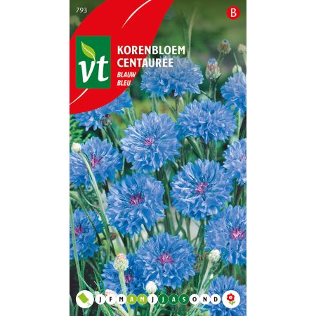 Blue Cornflower (Cornflower; Bachelor'S‑Button) - Korenbloem Blauw