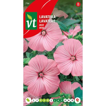 Tree Mallow (Mallow) - Lavatera Roze