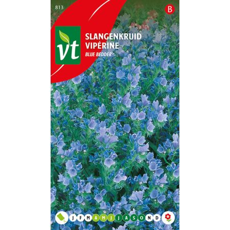 Slangenkruid Blue Bedder