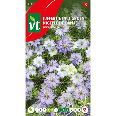 Nemesia - Juffertje In 'T Groen Indigo En Light Blue Mix