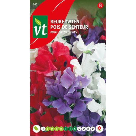 Sweet Pea - Reukerwten Royal Mix