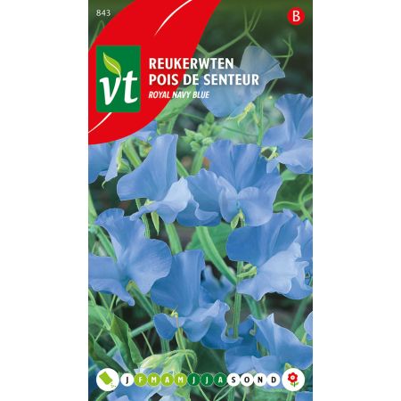 Sweet Pea - Reukerwten Navy Blue