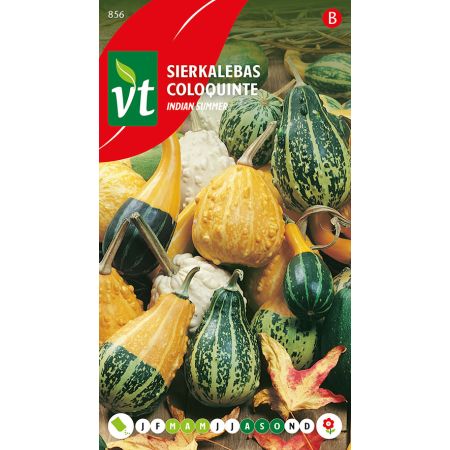 Ornamental Gourd - Sierkalebas Indian Summer Mix