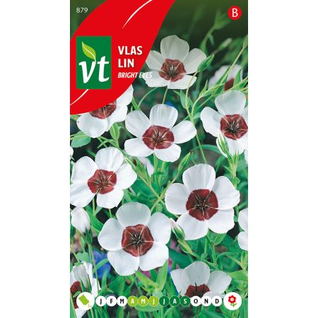 Scarlet Flax (Flax) - Vlas Bright Eyes