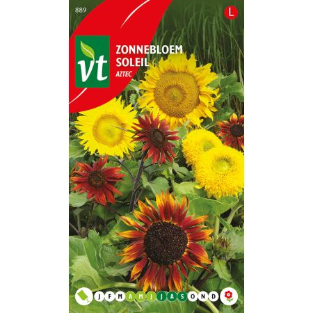 Sunflower - Cultivar 'Aztec' - Zonnebloem Aztec