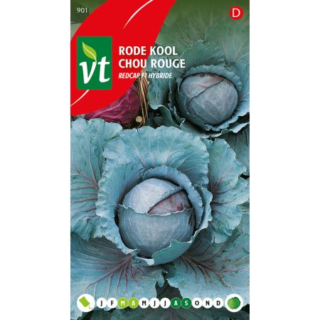 Red Cabbage - Rode kool Redcap F1 hybride