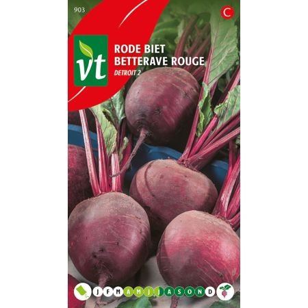 Detroit 2 Beetroot - Rode Biet Detroit 2