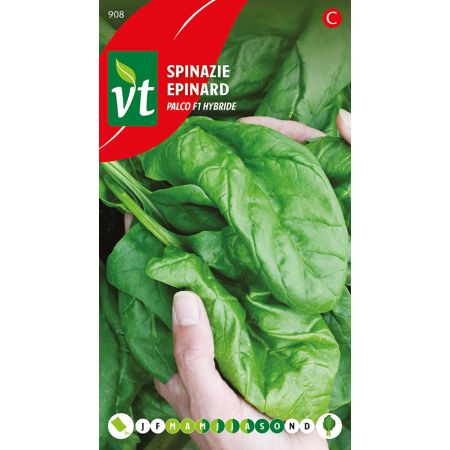 Spinach - Spinazie Palco F1 hybride