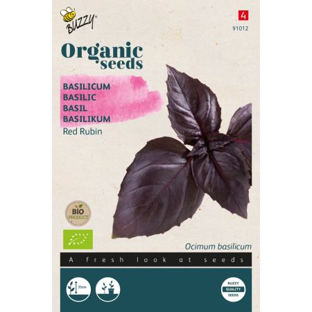 Red Rubin Basil (A Purple Basil Cultivar Of Ocimum Basilicum) - Buzzy Organic Basilicum Red Rubin (BIO)