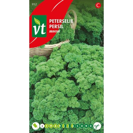 Parsley (Cultivar 'Bravour') - Peterselie Bravour