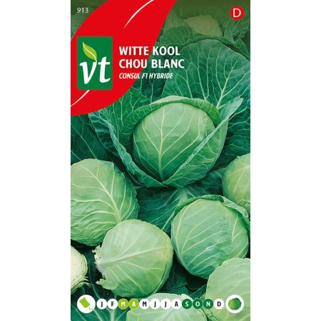 White Cabbage (Consul F1 Hybrid) - Witte Kool Consul F1 Hybride