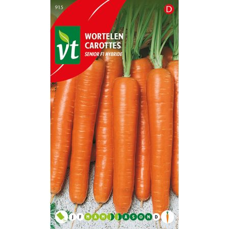 Carrot (Senior F1 Hybrid) - Wortelen Senior F1 Hybride
