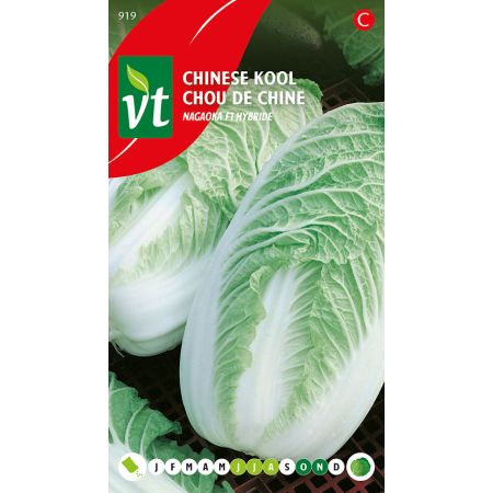 Chinese Cabbage - Chinese Kool Nagaoka F1 Hybride