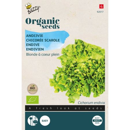 Escarole (Broad-Leaved Endive) - Buzzy Organic Andijvie Gele Volhart  (BIO)