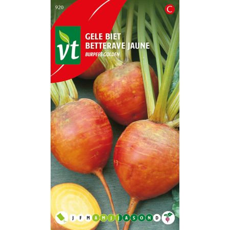 Burpee'S Golden Beet (Golden Beet) - Gele Biet Burpees Golden