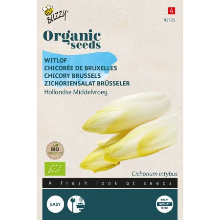 Buzzy Organic Chicory Salad Brussels Hollandse Middelvroeg - Bio
