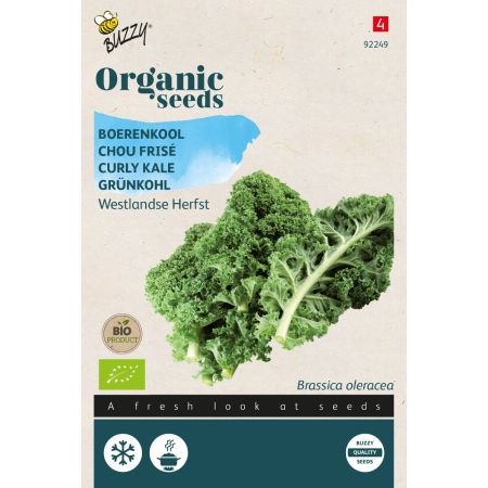 Kale (Curly Kale / Borecole) - Buzzy Organic Boerenkool Westlandse Herfst (BIO)