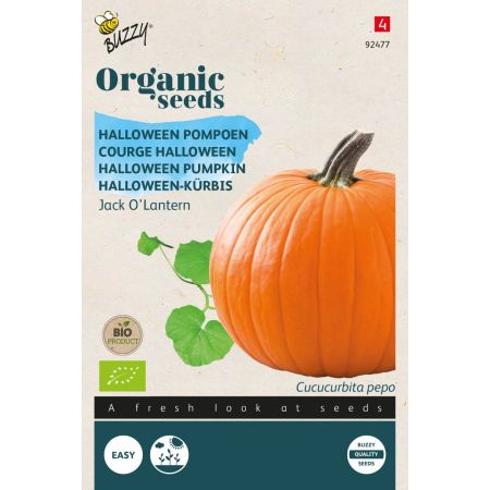 Jack‑O'‑Lantern Pumpkin - Buzzy Organic Pompoen Jack O'Lantern (BIO)