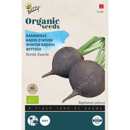 Black Radish (Round Black Spanish Radish) - Buzzy Organic Rammenas Ronde Zwarte (BIO)