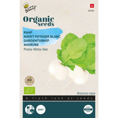 Flat White Turnip (Turnip) - Buzzy Organic Raap Platte Witte Mei (BIO)