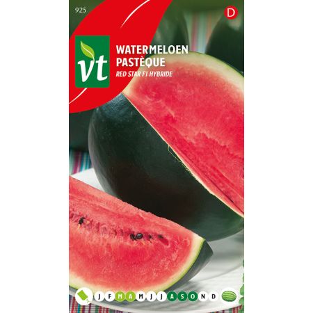 Red Star Watermelon (F1 Hybrid) - Watermeloen Red Star F1 Hybride