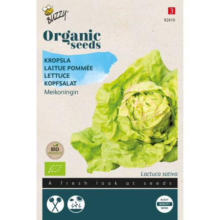 May Queen Butterhead Lettuce - Buzzy Organic Kropsla Meikoningin  (BIO)