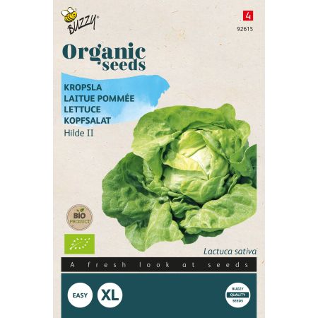 Buzzy Organic Lettuce Hilde II - Bio