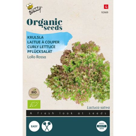 Lollo Rossa (Red Leaf Lettuce) - Buzzy Organic Krulsla Lollo rossa  (BIO)