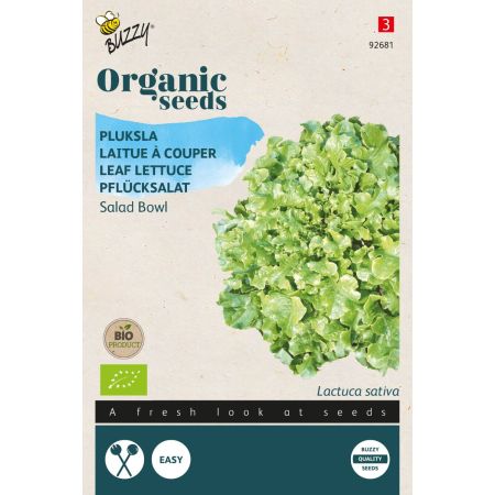 Green Salad Bowl Lettuce (Green Looseleaf Lettuce) - Buzzy Organic Pluksla Salad Bowl, groen  (BIO)